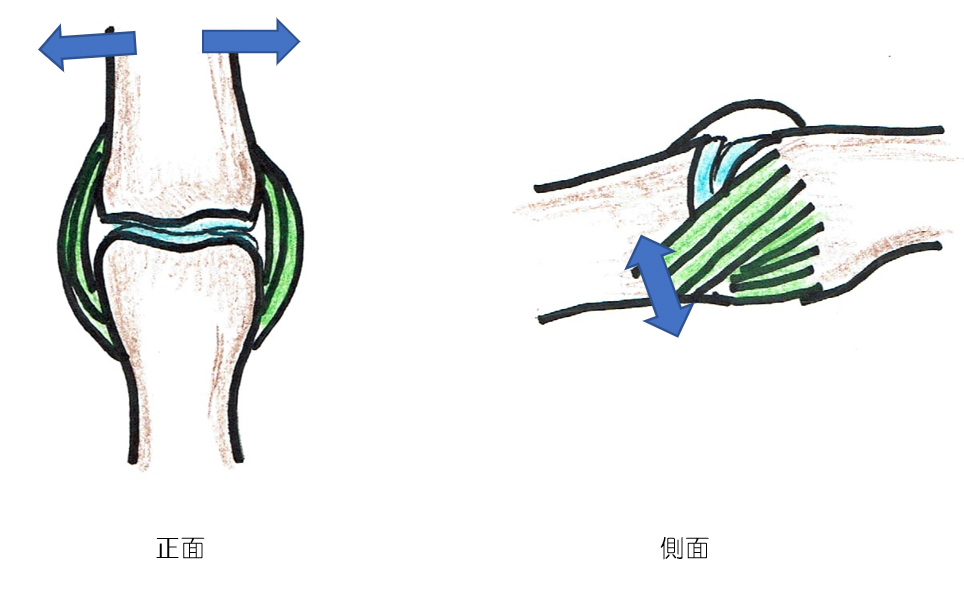 母指MP関節側副靭帯