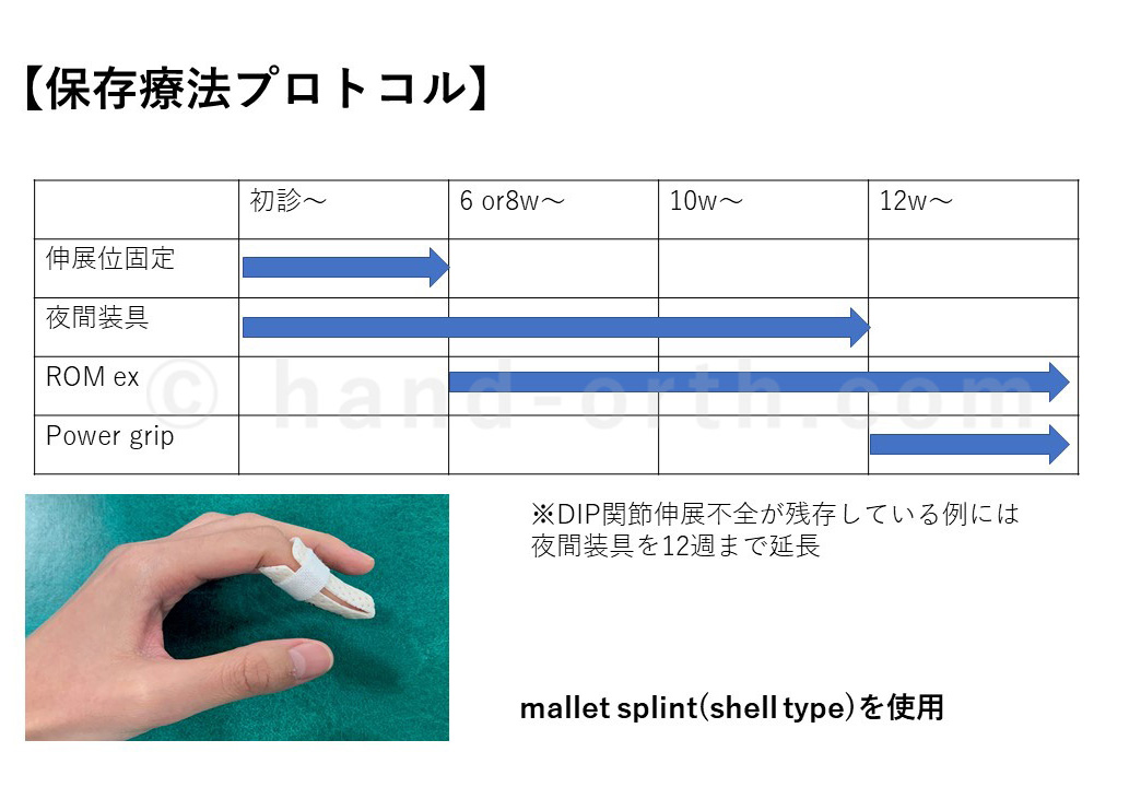 保存的治療のプロトコール